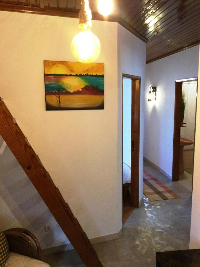 Art'Rio - Casa No Rio Em Dornes 빌라 외부 사진